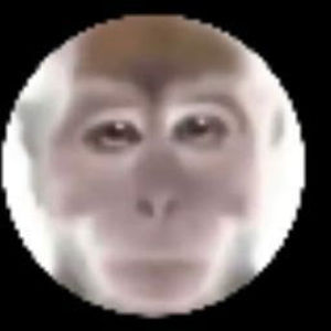 Meet your Posher, Elijah